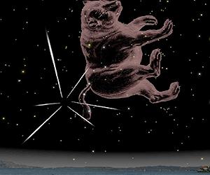 Quadrantids Create Year's First Meteor Shower