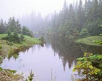 Quebec opens up untamed Anticosti to oil exploration