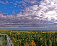 Fully renewable energy system is economically viable in Finland in 2050