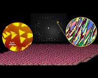 Borophene advances as 2D materials platform
