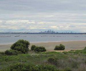 Industrialization weakens important carbon sink