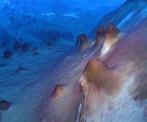 Antarctic lake hides bizarre ecosystem