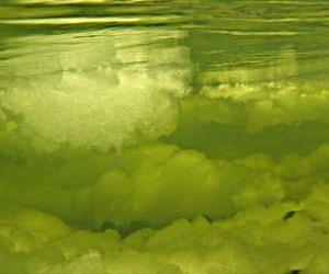 Extreme winters impact fish negatively