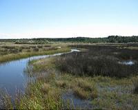 New Technique Allows Frequent Water Quality Monitoring For Suite of Pollutants