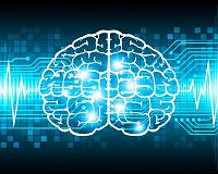 Lobachevsky University scientists create a neurochip for replacing damaged areas of the brain