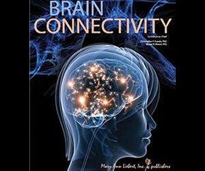 Cutting-edge MRI techniques for studying communication within the brain