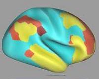 New wave in tech: hacking the brain