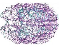 New, flexible brain probes to improve long-term neural recording