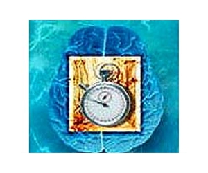 Brain's 'clock' less accurate with aging