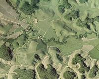 Brazil rainforests releasing more carbon dioxide