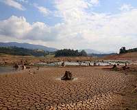 Brazil's poorest region suffers worst drought in a century