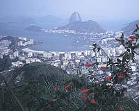 Repairs may mean darker hue for Rio's iconic Christ statue