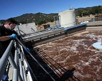 Rice Uni system selectively sequesters toxins from water