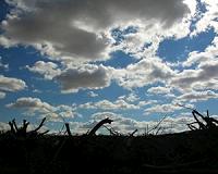 Today's clouds might not be the same as pre-industrial ones