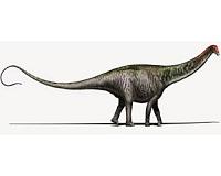 Brontosaurus is back!