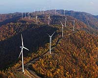 Renewable Energy Wrecks Environment