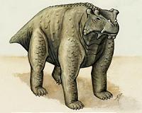 Pre-reptile may be earliest known to walk upright on all fours