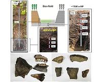 Neolithic paddy soil reveals the impacts of agriculture on microbial diversity
