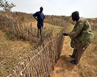 Beating back the desert in Burkina Faso, field by field