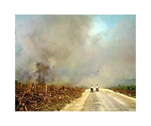 US, Indonesia sign $30m debt-for-nature swap