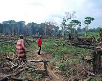 With DR Congo's army into forest stronghold of killers