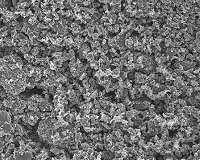 Treated carbon pulls radioactive elements from water