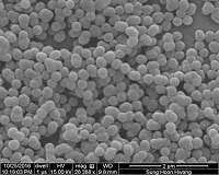 Spheres can make concrete leaner, greener