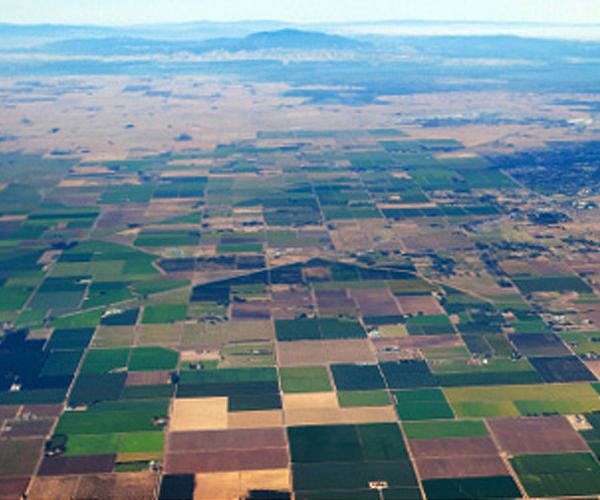 Ecologically friendly agriculture doesn't compromise crop yields