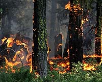 Firefighters Make Inroads Against California Wildfire