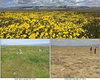 California plain shows surprising winners and losers from prolonged drought