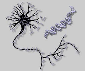 Caltech Researchers Create the First Artificial Neural Network Out of DNA