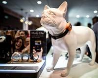 Dog smartphone and dancing humanoids on show at HK Fair