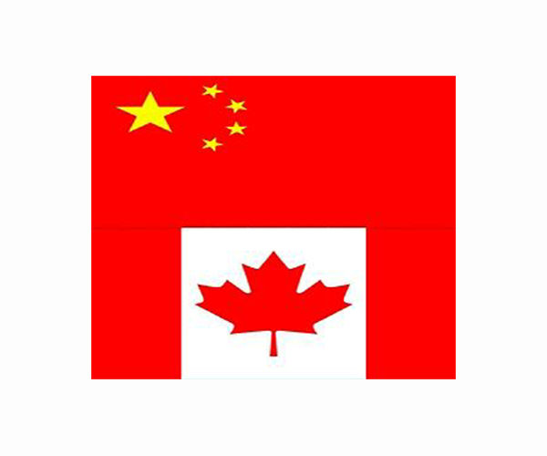 Canada to probe alleged China election interference