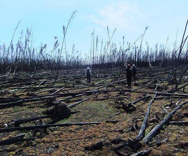 Canada tourism fears bigger, badder wildfires coming