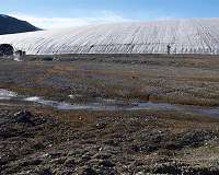 Scientists identify two new species of fungi in retreating Arctic glacier