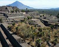Wild animals were routinely captured and traded in ancient Mesoamerica