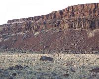 Modeling floods that formed canyons on Earth and Mars