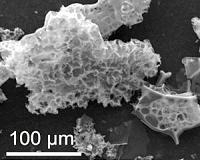 Rice University produces carbon-capture breakthrough