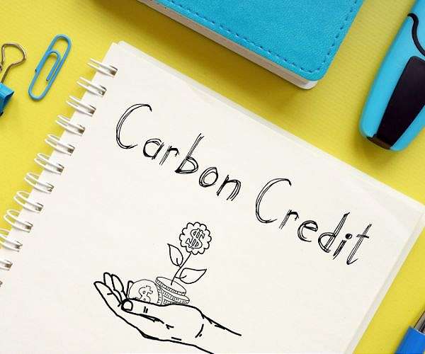 UN approves complaint process for carbon credit projects