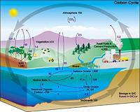 Allowable 'carbon budget' most likely overestimated