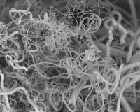 'Diamonds from the sky' approach turns CO2 into valuable products