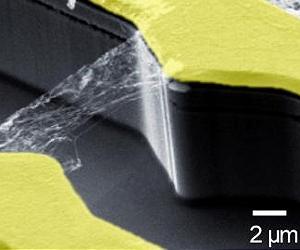 Ultra-fast photodetector and terahertz generator