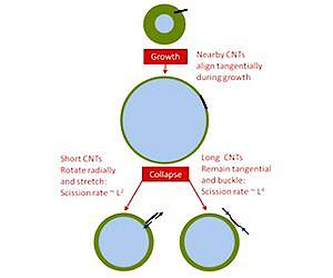 Tiny bubbles snap carbon nanotubes like twigs