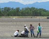 Greenhouse gas effect caused by mangrove forest conversion is quite significant