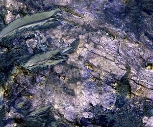 Some Of Mars' Missing CO2 May Be Buried