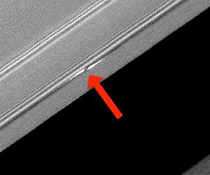 Saturn Propellers Reflect Solar System Origins