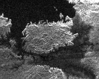 Sea Hunt Cassini Style Off Titan