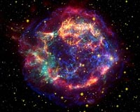 Radioactive Elements in Cas A Suggest Neutrino-Driven Explosion