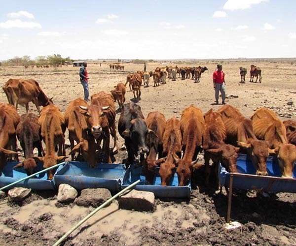 Africa facing climate impact 'nightmare': Kenyan president