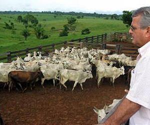 Anthropologist studies cattle ranchers in Brazilian Amazon
